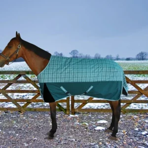 Horse Turnout Blanket - TuffRider Bonum 1200D Ripstop Medium Weight 220 g Standard Neck Winter Blanket