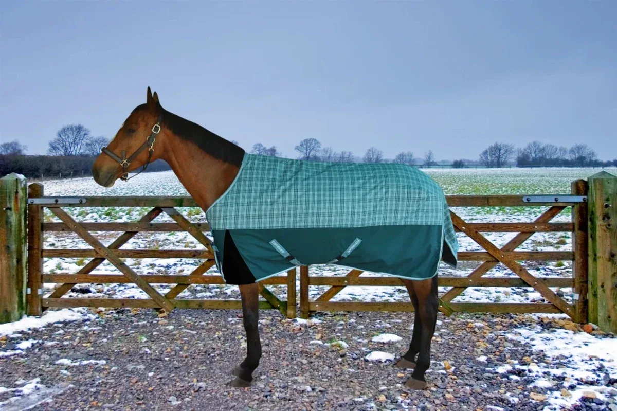 Horse Turnout Blanket - TuffRider Bonum 1200D Ripstop Medium Weight 220 g Standard Neck Winter Blanket