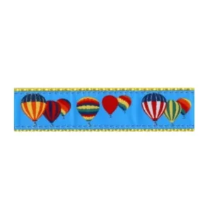 Hot Air Balloons