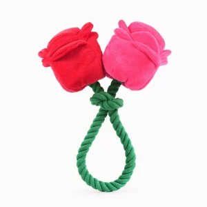 Hugsmart Products Inc - HugSmart Pet