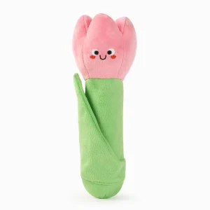Hugsmart Products Inc - HugSmart Pet