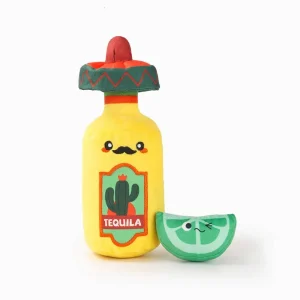 Hugsmart Products Inc - HugSmart Pet - Fiesta Chewsday