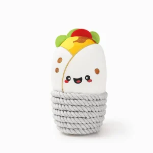 Hugsmart Products Inc - HugSmart Pet - Fiesta Chewsday