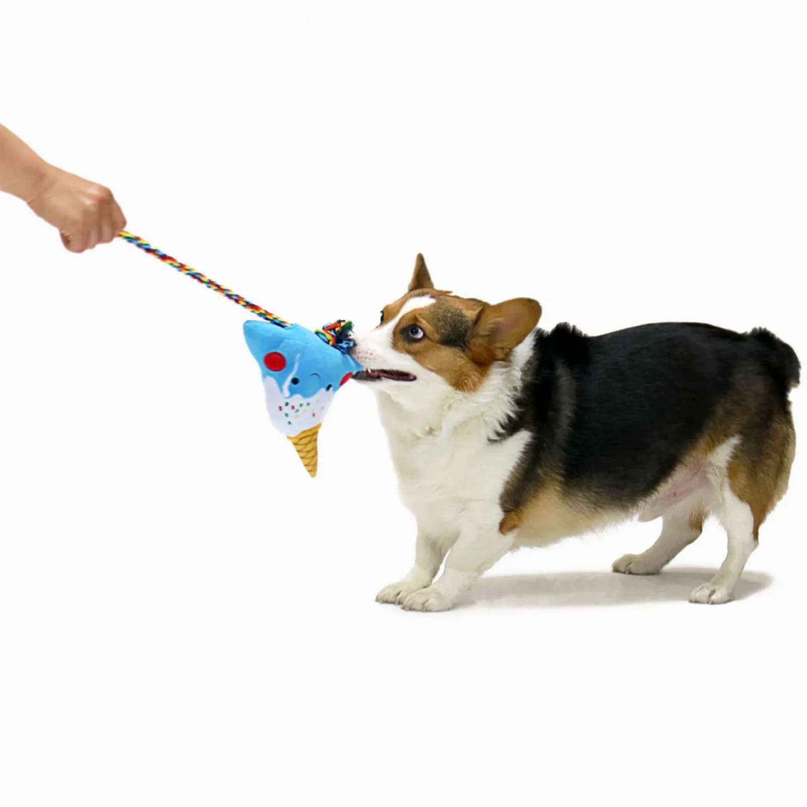 Hugsmart Products Inc - HugSmart Pet - Foodie Japan - Image 2