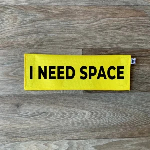 I Need Space Leash Flag