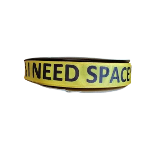 I Need Space Nylon Dog Collar