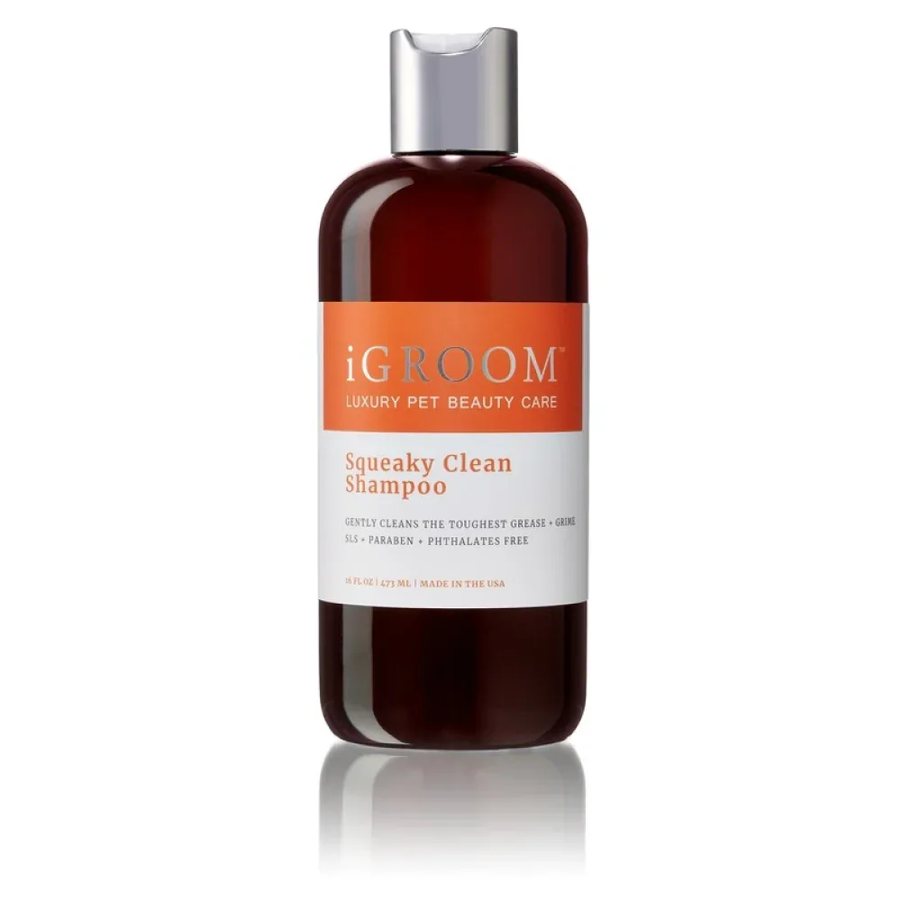 iGroom Squeaky Clean Shampoo for Dogs and Cats