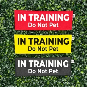 In Training