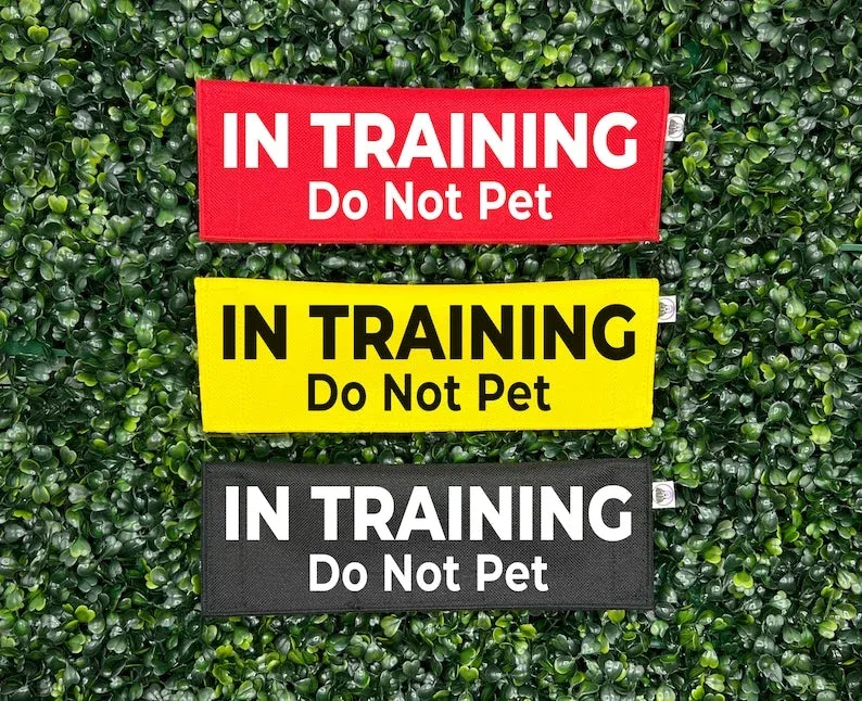 In Training