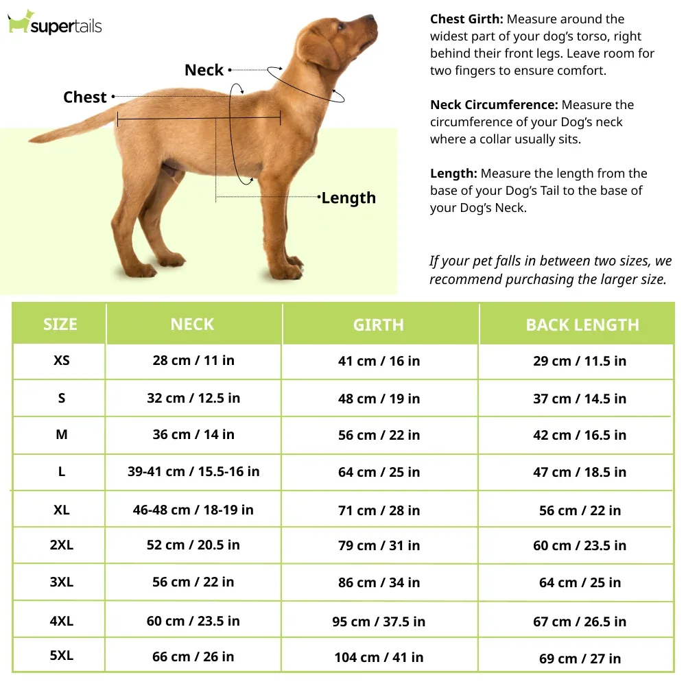 Independence Day Team India Spirit Tshirt for Dogs by Pets Way - Image 2