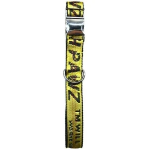 Industrial Belt