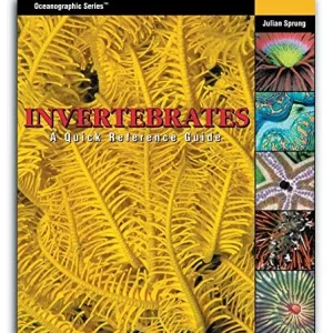 Invertebrates: A Quick Referance Guide
