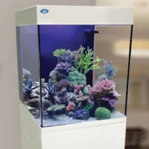JBJ Aquarium - 10 GALLON WHITE CUBEY TANK
