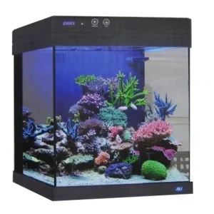 JBJ Aquarium - 15 GALLON BLACK CUBEY MIDSIZE ALL IN ONE TANK