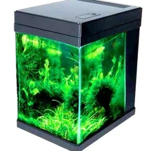 JBJ Aquarium - 3 Gallon Cubey Desktop Aquarium - Black