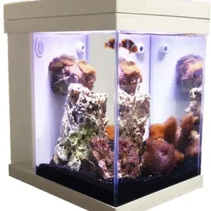JBJ Aquarium - 3 Gallon Cubey Desktop Aquarium - White