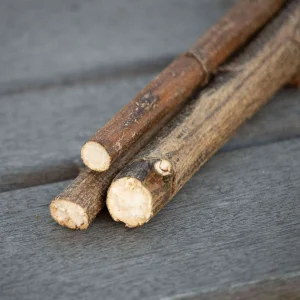 Jerusalem Artichoke Mini Logs (3)