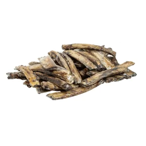 Jojo Modern Pets - All-Natural Beef Rib Bones Dogs Treat Chews (8"