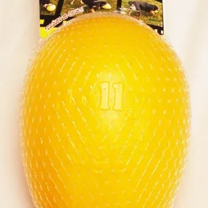 Jolly Pet Egg Hard Plastic Dog Toy Yellow Small, 8 in