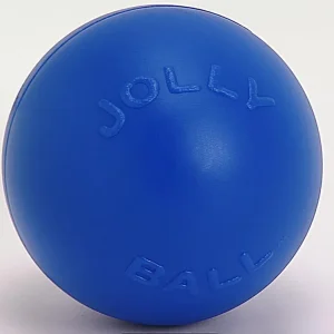 Jolly Pet Push-n-Play Plastic Dog Toy Blue Large, 10 in