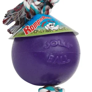 Jolly Pet Romp-n-Roll Dog Toy Durable Purple Small, 4.5 in