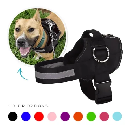 Joyride Harness - Joyride Basic Essential Dog Harness 1.0 - Image 2