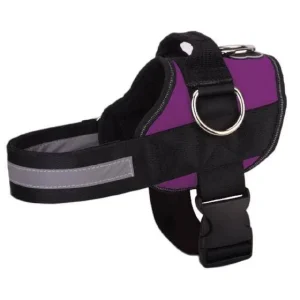 Joyride Harness - Joyride Basic Essential Dog Harness 1.0