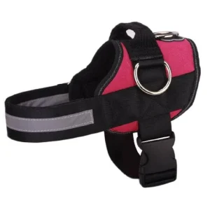 Joyride Harness - Joyride Basic Essential Dog Harness 1.0