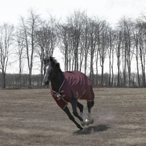 JPC Equestrian Horse Turnout Blanket - TuffRider Optimum 1680D Heavy Weight 360 g Detachable Neck Winter Blanket, Tawny port