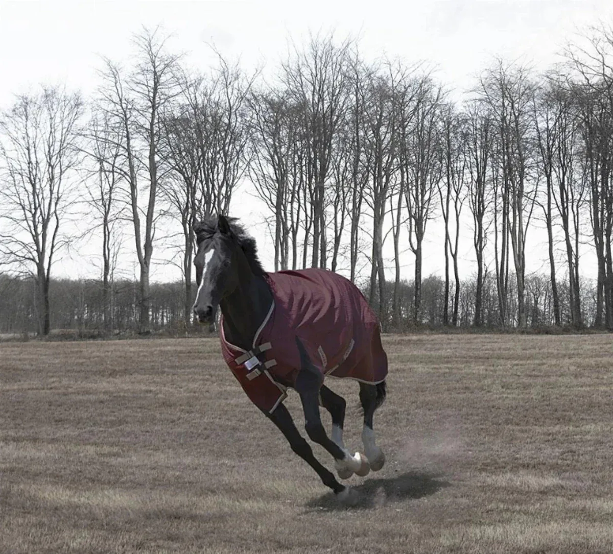 JPC Equestrian Horse Turnout Blanket - TuffRider Optimum 1680D Heavy Weight 360 g Detachable Neck Winter Blanket, Tawny port