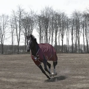 JPC Equestrian Horse Turnout Blanket - TuffRider Optimum 1680D Medium Weight 220 g Detachable Neck Winter Blanket, Tawny port