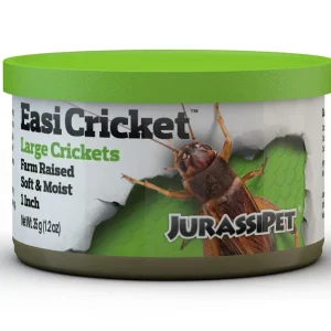 JurassiDiet - EasiCricket: Large