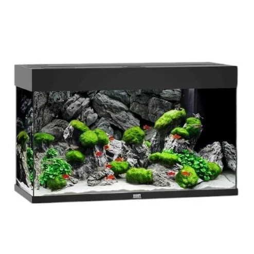 Juwel Rio 125 - Image 2