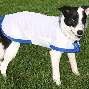 K9 Cool Coats