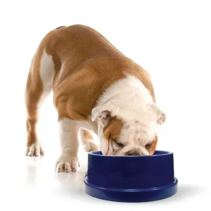 KH Mfg Coolin Pet Bowl