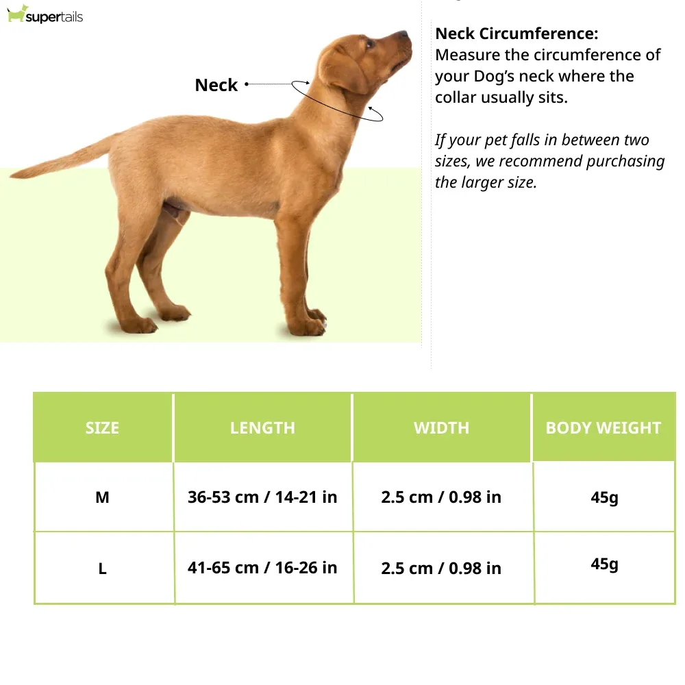 Kibbo Nylon Collar with Adjustable Buckle and D-Ring (Yellow & Sea Green/Pack of 2) - Image 2