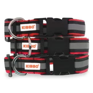Kibbo Premium Nylon Collar with Buckle and D Ring for Dogs (Red/Pack of 3)