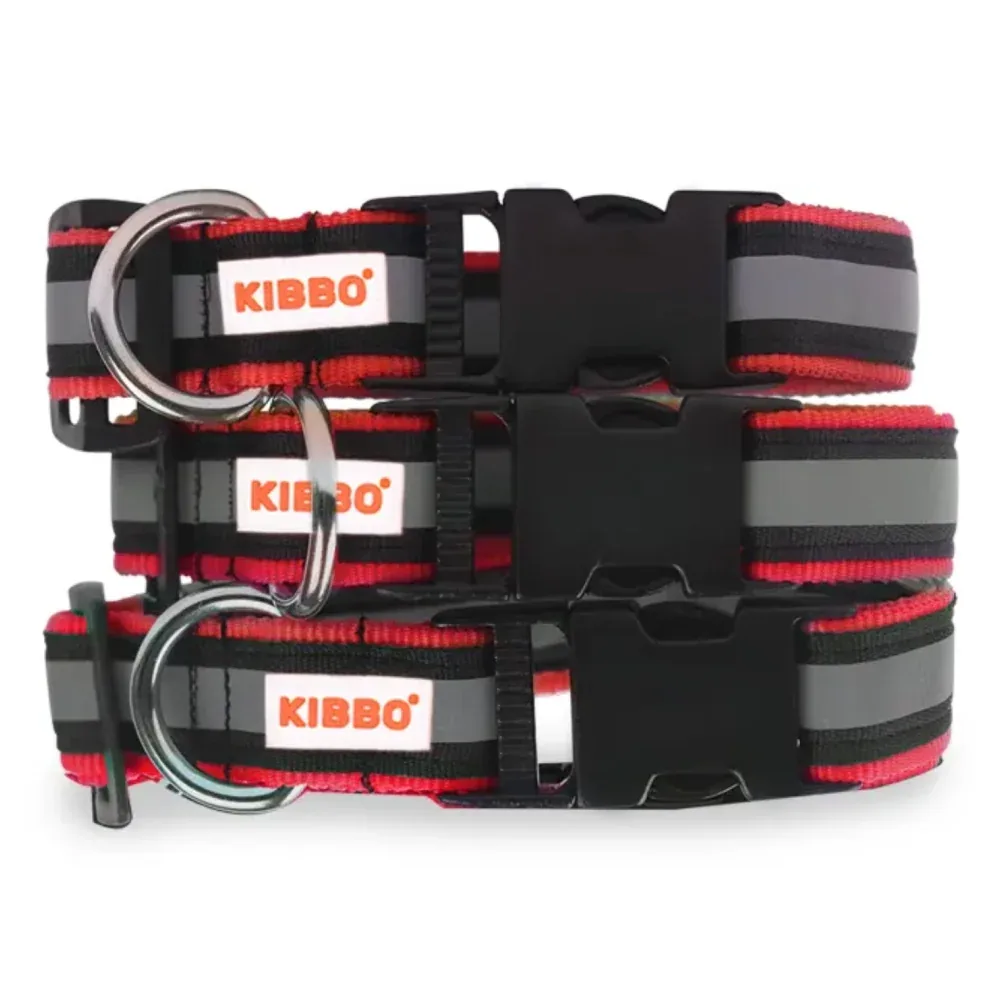 Kibbo Premium Nylon Collar with Buckle and D Ring for Dogs (Red/Pack of 3)