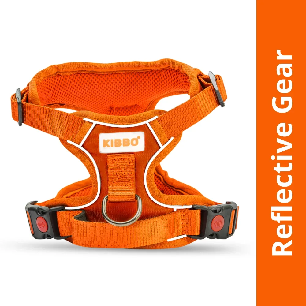 Kibbo Reflective Vest Harness with Dual Lock Buckle for Dogs (Orange) - Image 2