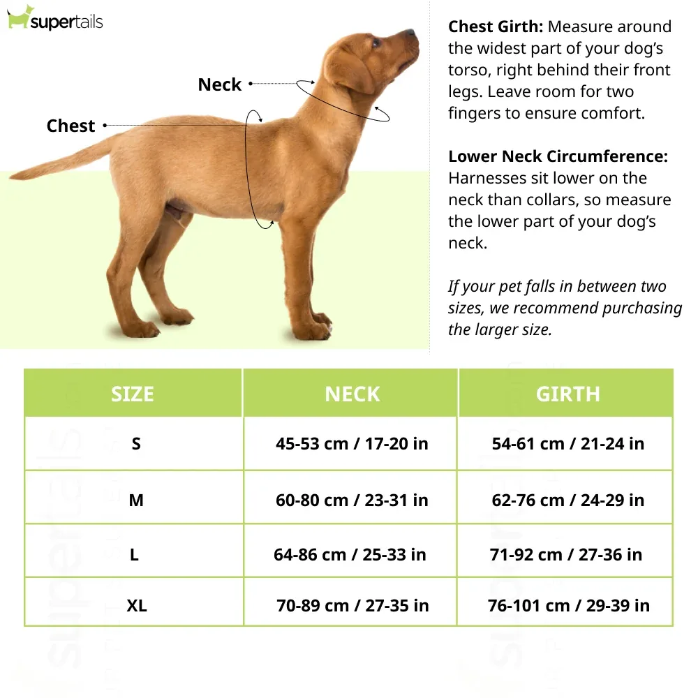 Kibbo Reflective Vest Harness with Dual Lock Buckle for Dogs (Parrot Green) - Image 2