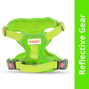 Kibbo Reflective Vest Harness with Dual Lock Buckle for Dogs (Parrot Green)