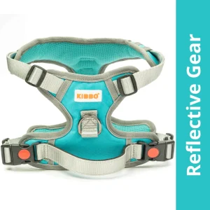 Kibbo Reflective Vest Harness with Dual Lock Buckle for Dogs (Sea Green)