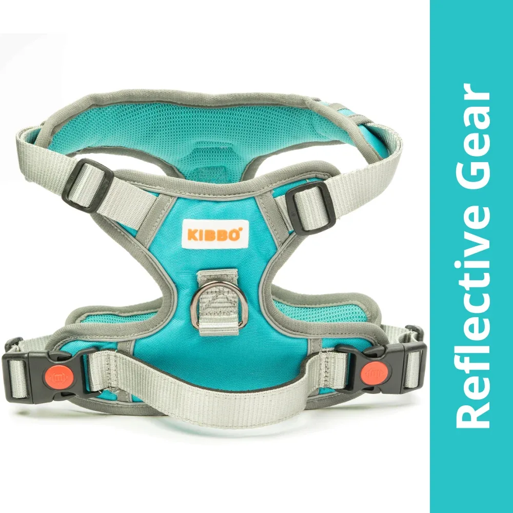Kibbo Reflective Vest Harness with Dual Lock Buckle for Dogs (Sea Green)