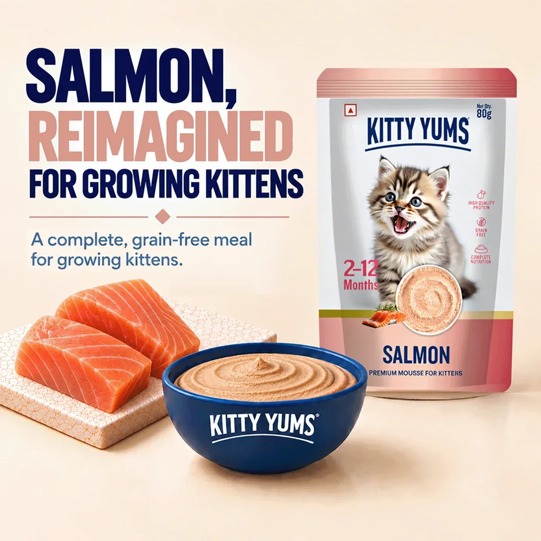 Kitty Yum Salmon Mousse Kitten Cat Wet Food - Image 2