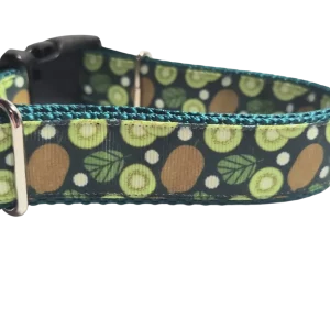 Kiwi Fruit Nylon Dog Collar