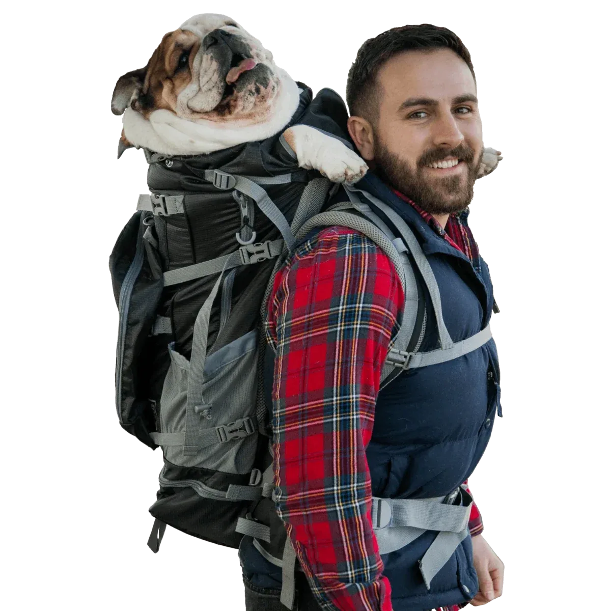 Kolossus, Big Dog Carrier & Backpacking Pack