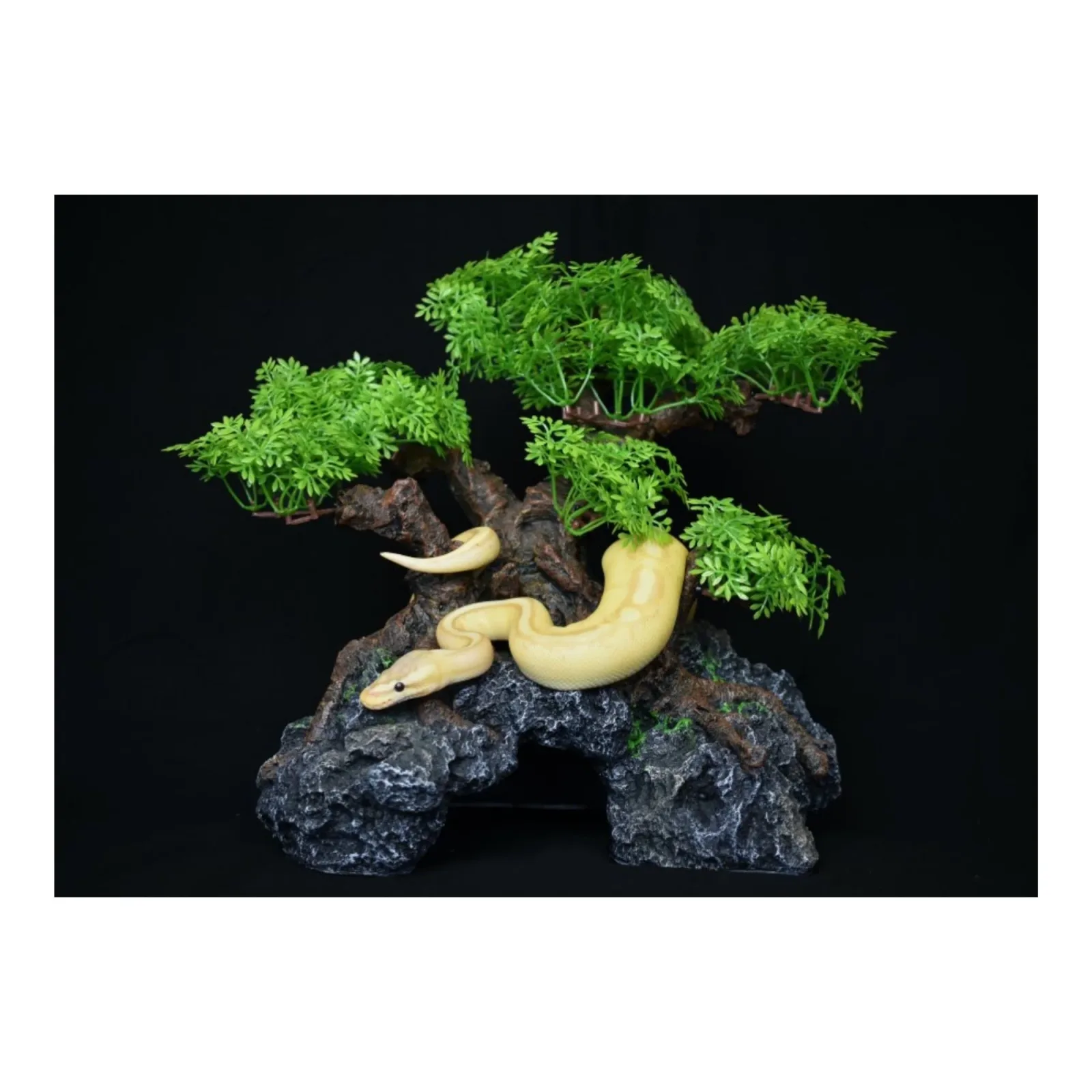 Komodo Bonsai Tree with Hide 18 in - Image 2