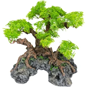 Komodo Bonsai Tree with Hide 18 in