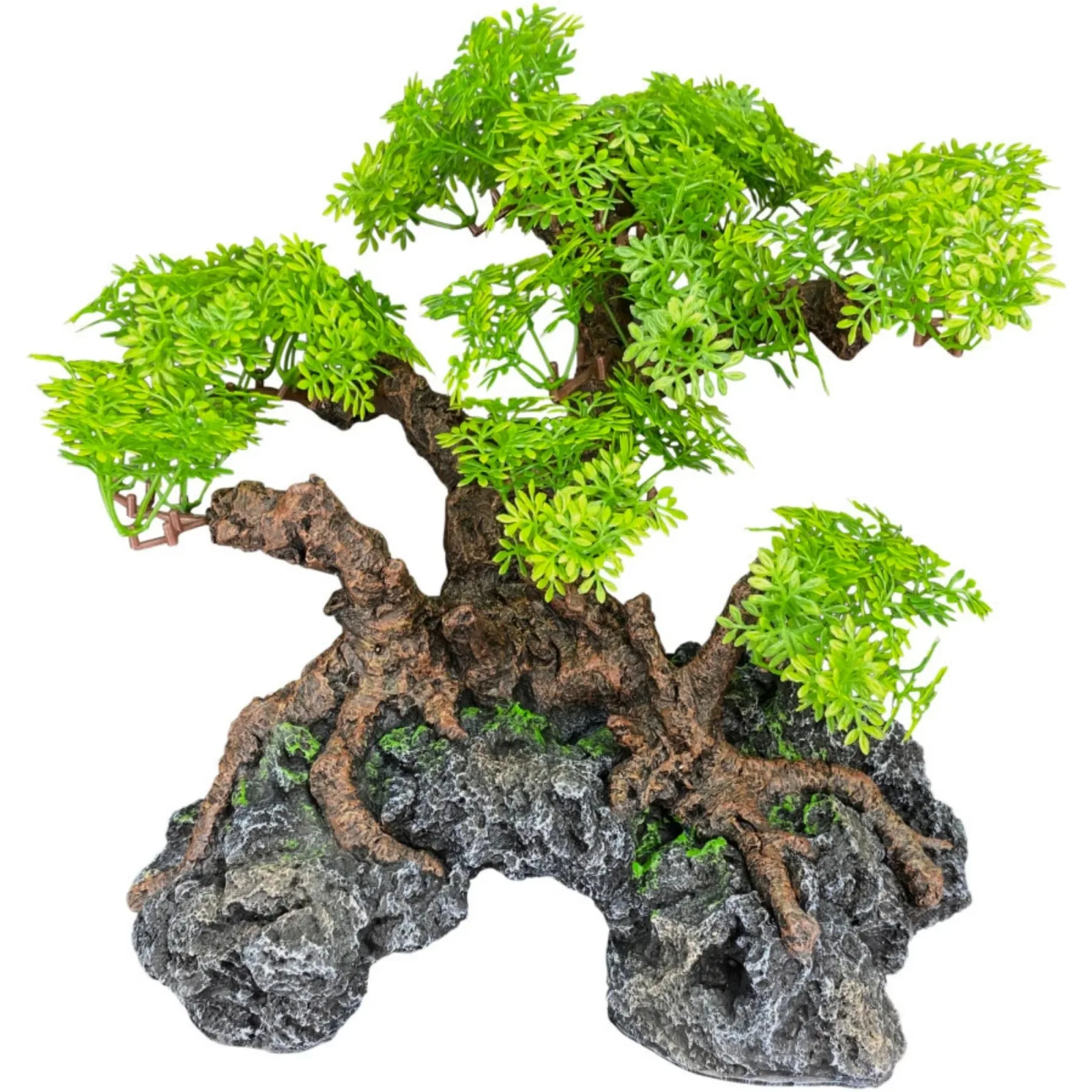 Komodo Bonsai Tree with Hide 18 in