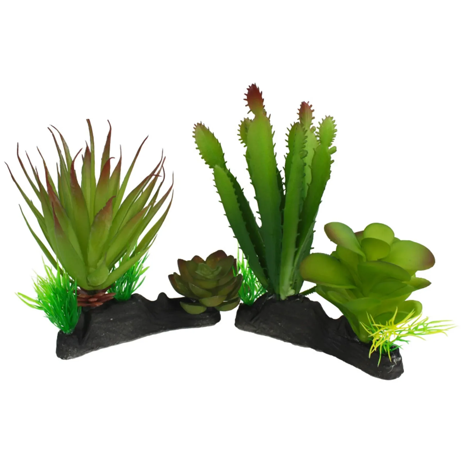Komodo Cactus and Succulent Plant Reptile Terrarium Decor, Two Plants on One Base